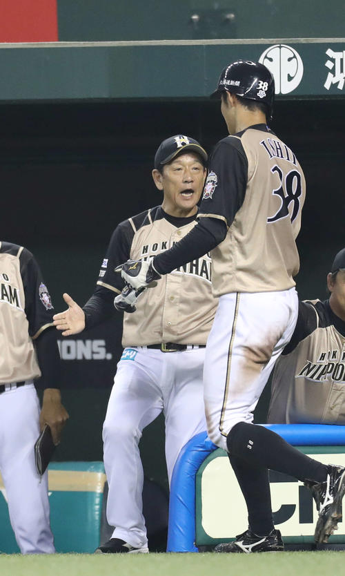 西武対日本ハム　7回表日本ハム2死満塁、西川の2点適時打で生還した石井（手前）を向かえる栗山監督（撮影・河野匠）