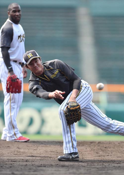 投内連係プレーの練習をして汗を流す藤浪晋太郎（撮影・上田博志）