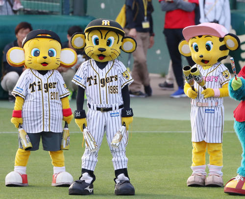 左から、キー太、トラッキー、ラッキー（2019年5月17日撮影）