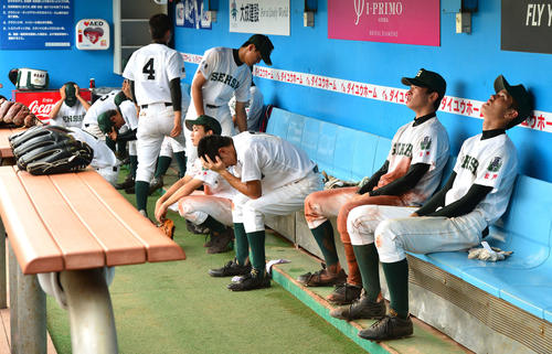 13年7月、夏の甲子園千葉県大会の準決勝木更津総合戦でサヨナラ押し出しで決勝進出を逃しベンチで号泣する専大松戸ナイン。手前右は完投した高橋礼