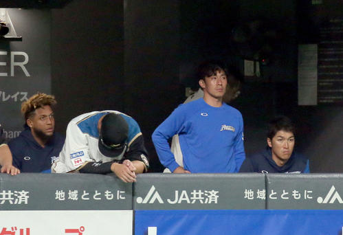 日本ハム対楽天　ベンチから試合を見つめる日本ハム吉川（右から2人目）（撮影・佐藤翔太）