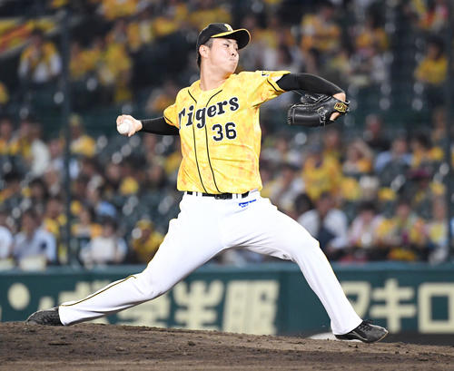 阪神対中日　9回から登板した浜地真澄（撮影・奥田泰也）