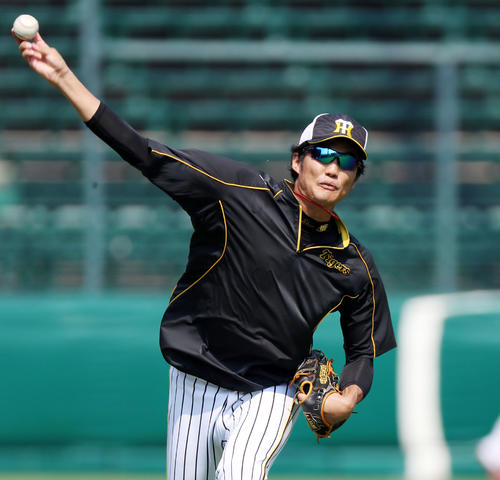 甲子園でキャッチボールする藤浪（撮影・加藤哉）