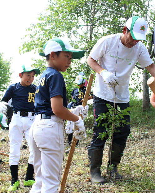 栗の樹ファームでアオダモ植樹を行った日本ハム栗山監督（撮影・木下大輔）