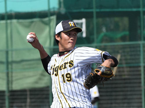投手守備練習をする藤浪晋太郎（撮影・奥田泰也）