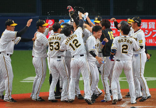 9回裏阪神無死一、二塁、矢野監督（中央後方）と西（中央右16）は右越えサヨナラ3点本塁打を放った大山（中央）を迎える（撮影・宮崎幸一）