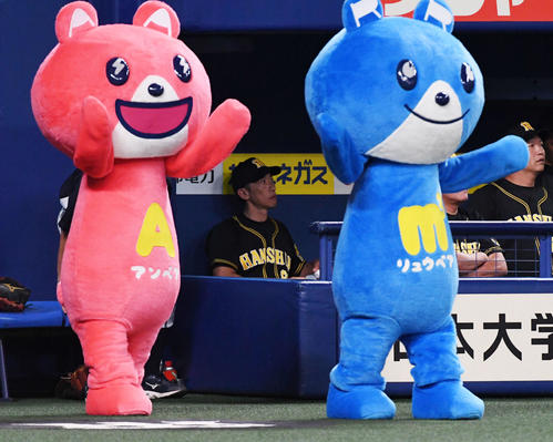 中日対阪神　7回、ベンチで厳しい表情を見せる矢野監督（撮影・前岡正明）