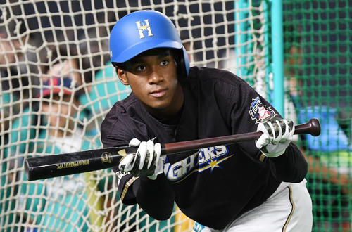 日本ハム対ロッテ　試合前にバント練習する日本ハム万波（撮影・滝沢徹郎）
