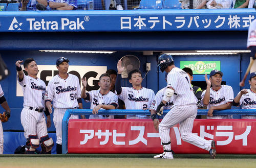 ヤクルト対DeNA　1回裏ヤクルト無死一、二塁、山田哲の中越え本塁打をベンチで迎える選手たち（撮影・鈴木正人）