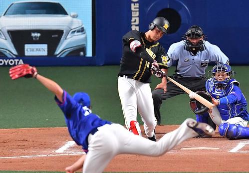 中日対阪神　6回表阪神2死、木浪は右越え本塁打を放つ（撮影・上田博志）