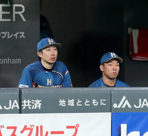 日本ハム対楽天　4回途中で降板しベンチから試合を見つめる日本ハム金子（左）（撮影・佐藤翔太）