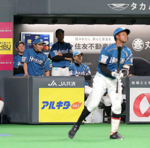 日本ハム対楽天　12回裏日本ハム2死、代打で万波（右手前）を送り出す栗山監督（左）（撮影・佐藤翔太）