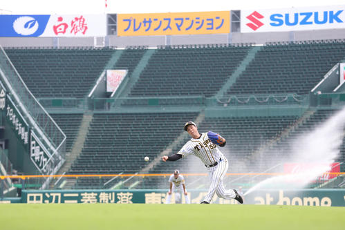 放水される甲子園のグラウンドで投球する青柳（撮影・上山淳一）