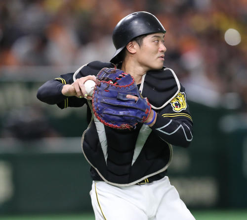 阪神坂本誠志郎（2019年8月18日撮影）