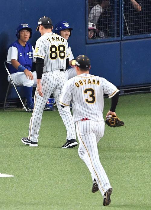 阪神対DeNA　6回途中に大山悠輔を交代させる矢野燿大監督（撮影・上田博志）