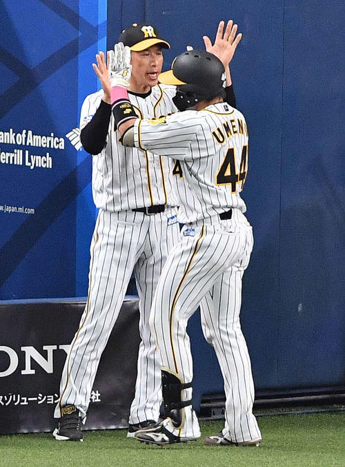 阪神対DeNA　8回裏阪神1死、左越えソロ本塁打を放った梅野隆太郎をハイタッチで出迎える矢野燿大監督（撮影・上田博志）