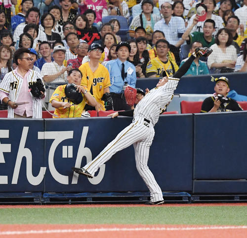 8回表阪神1死、佐野恵太飛球を好捕する大山悠輔（撮影・奥田泰也）