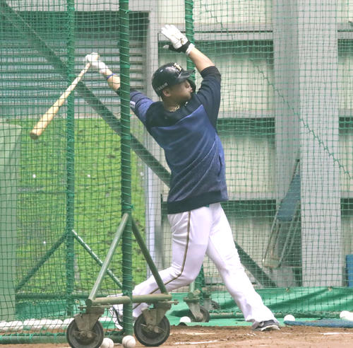 室内練習場で打撃練習をする日本ハム中田（撮影・山崎純一）