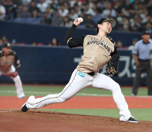 オリックス戦に先発する金子弌大（撮影・白石智彦）