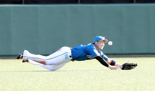 日本ハム対西武　7回表西武2死二塁、山川の打球に日本ハム近藤は飛びつくも捕球出来ず（撮影・佐藤翔太）