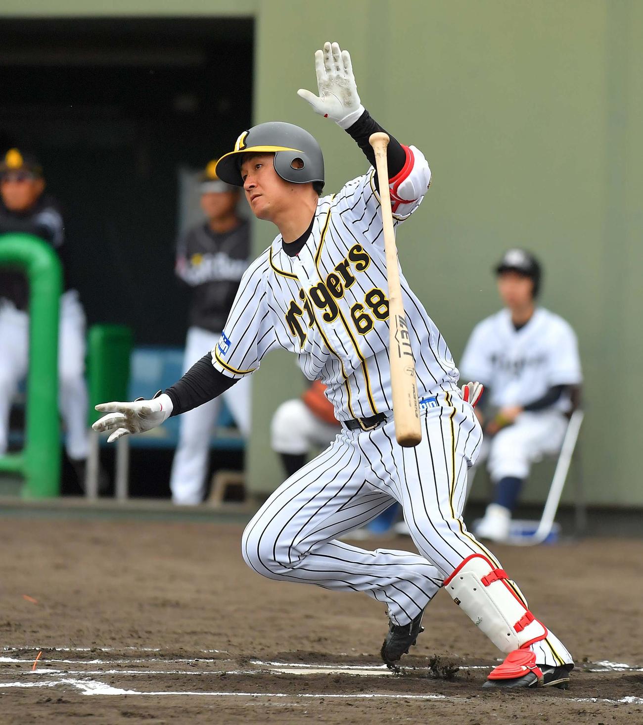 阪神俊介「しっかりやれたら」今季2度目の1軍昇格 - プロ野球写真
