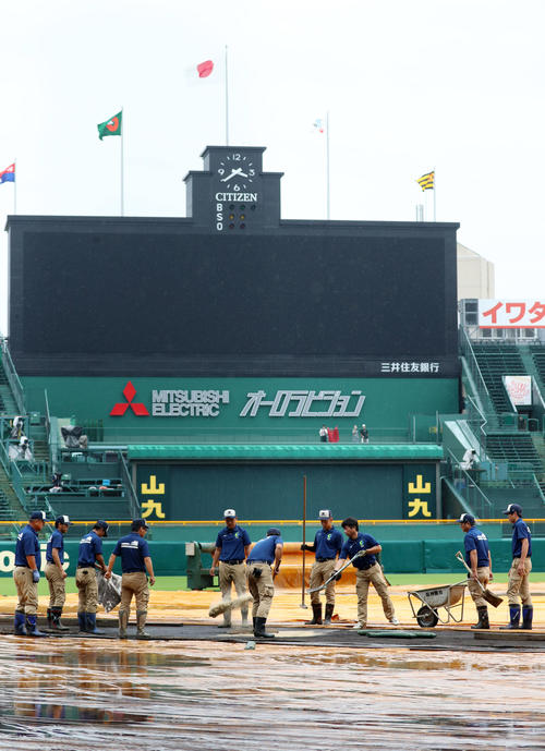 グラウンドのカバーを一部剥がして新しい土を入れる阪神園芸職員たち（撮影・加藤哉）