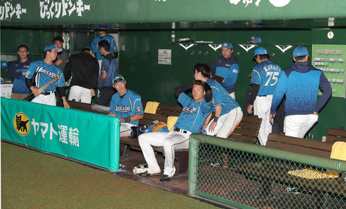 日本ハム対西武　8回コールドで試合終了となりがっかりする日本ハムベンチ（撮影・佐藤翔太）