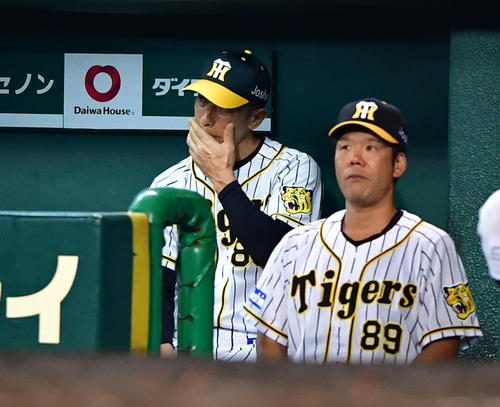 阪神対中日　7回表中日、ベンチで厳しい顔をみせる矢野耀大監督（撮影・清水貴仁）