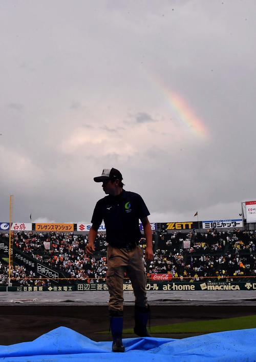 阪神対巨人 大雨の後、虹がかかる甲子園球場(撮影・上田博志)