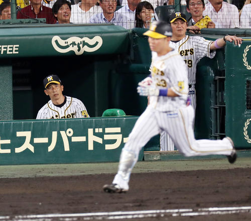 阪神対巨人 5回裏阪神2死一、二塁、遊飛に倒れる糸原健斗(手前)の打球を見つめる矢野燿大監督(撮影・前田充)