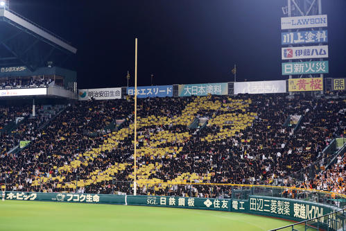阪神対巨人 4回終了後、三塁アルプススタンドに現れた「虎」の人文字(撮影・前田充)