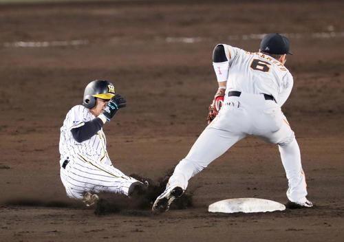 阪神対巨人　7回裏阪神1死一塁、二塁盗塁を決める植田。右は遊撃手坂本勇（撮影・前田充）