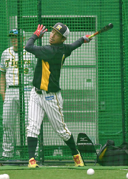 室内練習場でフリー打撃をする鳥谷敬（撮影・上田博志）