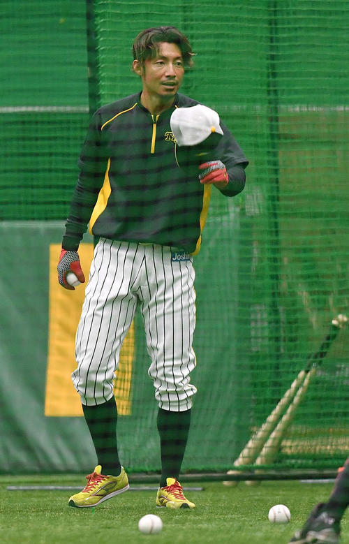 室内練習場でのフリー打撃練習を終え球拾いをする鳥谷敬（撮影・上田博志）