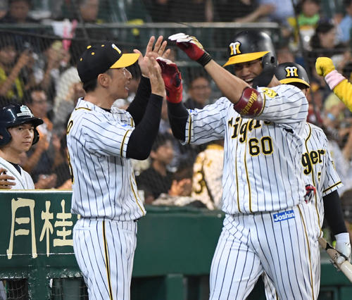 阪神対巨人　7回裏阪神2死、中谷（右）は左越え本塁打を放ち矢野監督とタッチを交わす（撮影・奥田泰也）