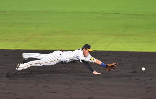 阪神対巨人　3回表巨人2死、木浪は亀井の打球に飛びつくも捕れず中前打（撮影・上田博志）