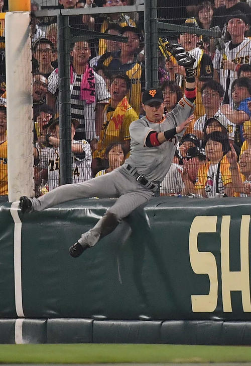 阪神対巨人　2回裏阪神2死、梅野隆太郎の右飛をフェンス際で好捕する亀井善行（撮影・上田博志）