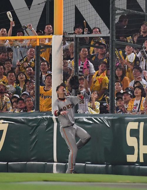 阪神対巨人　2回裏阪神2死、梅野の右飛をフェンス際で好捕する亀井（撮影・上田博志）