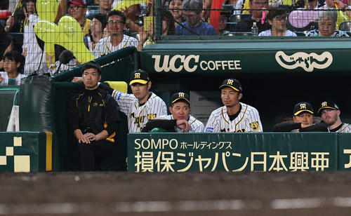 阪神対巨人　ベンチで戦況を見守る阪神鳥谷（右から3人目）と福留（同4人目）（撮影・山崎安昭）