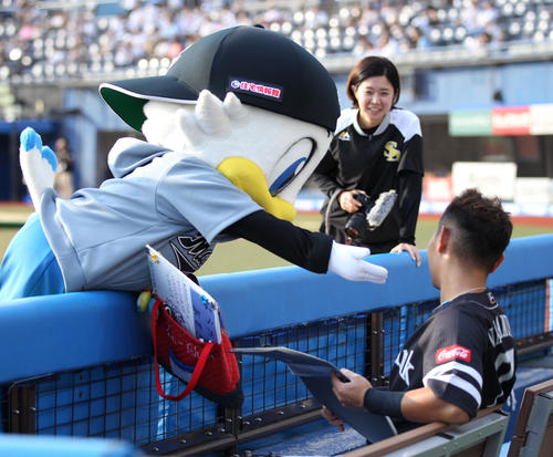 8月24日のロッテ対ソフトバンク　試合前、ソフトバンク中村晃に何かおねだりするズーちゃん（撮影・中島郁夫）
