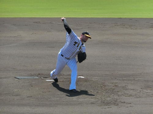 ウエスタン・リーグ阪神対オリックス　復帰3戦目のマウンドに上がった阪神メッセンジャー（撮影・奥田隼人）