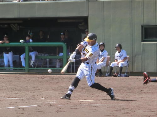 ウエスタン・リーグ阪神対オリックス　3番二塁で先発し、降格後、初本塁打を含む2安打を放った阪神ソラーテ（撮影・奥田隼人）