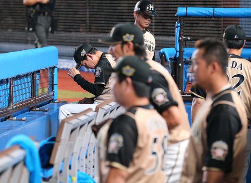 ロッテ対日本ハム　ベンチで渋い表情の栗山監督（左）ら（撮影・黒川智章）