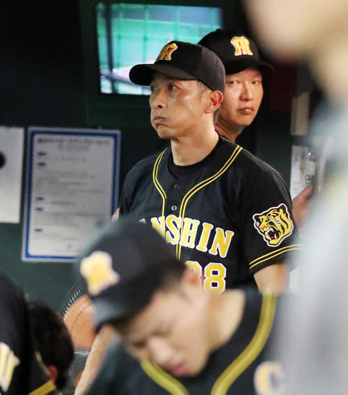 広島対阪神　3回裏を終えベンチで口をふくらませる矢野監督（撮影・加藤哉）