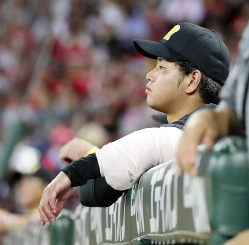 広島対阪神　降板した高橋遥はベンチから試合を見つめる（撮影・加藤哉）