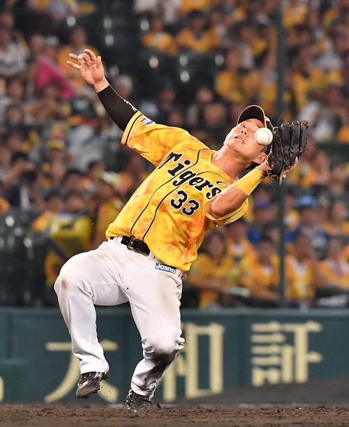 飛球を落とす阪神糸原（2019年7月30日）