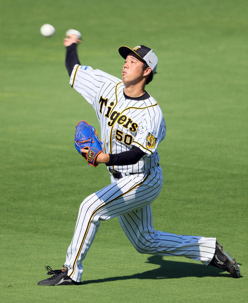 キャッチボールする阪神青柳晃洋（撮影・宮崎幸一）