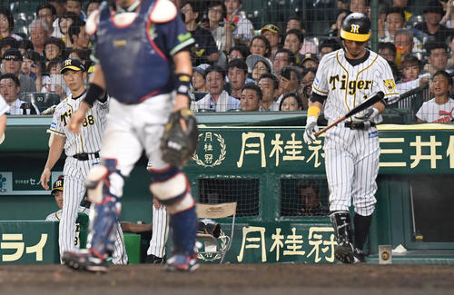 阪神対ヤクルト　5回裏阪神2死一塁、代打鳥谷敬（右）を告げる矢野燿大監督（撮影・奥田泰也）