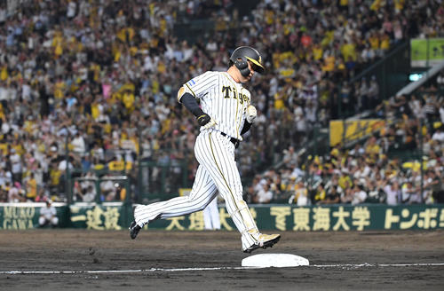 阪神対ヤクルト　5回裏阪神2死、高山は右中間本塁打を放つ（撮影・奥田泰也）