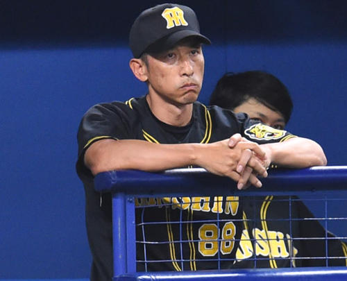 中日対阪神　6回表、阪神ベンチの矢野燿大監督（撮影・森本幸一）
